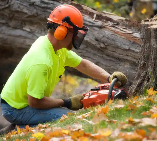 tree services Lake Waukomis